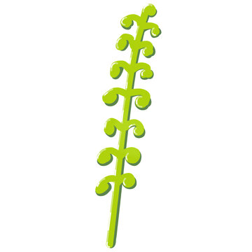 Abstract green tree, minimalist vertical stylized illustration of Peperomia pellucida leaf stalk on transparent background