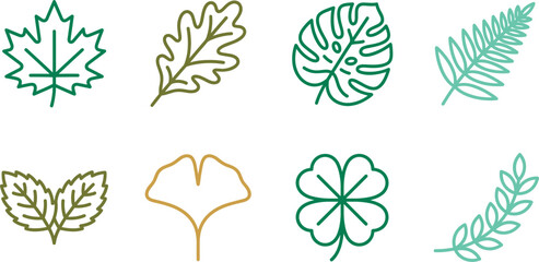 Leaf icon set representing green nature ecology organic environment maple oak monstera fern ginkgo clover foliage bio. © MOMINA