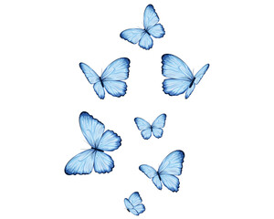 Obraz premium watercolor lucky butterfly design set
