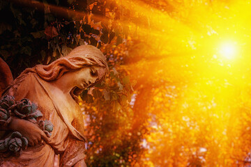 Obraz premium Angel statue illuminated by golden sunset rays in a peaceful garden.