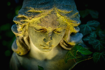 Obraz premium Close-up of a weathered angel statue illuminated by soft light among ivy leaves.