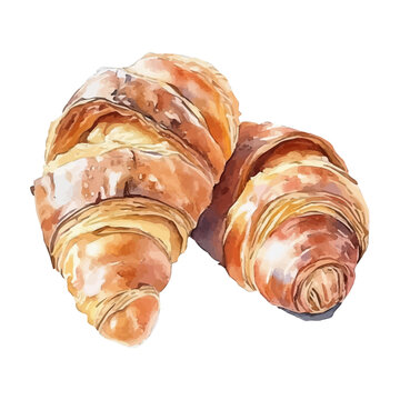 watercolor of Mitraillette illustration, isolated on a white background.