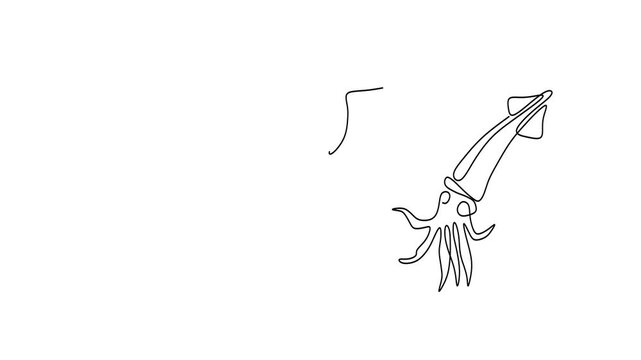 Animated self drawing of continuous line draw of  Squid Continuous Line. Logo.  Full length one line animation. 4K	