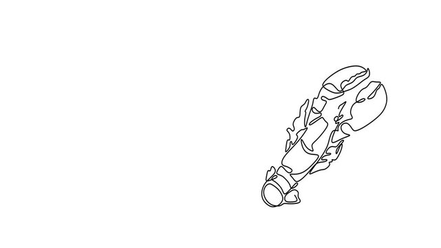 Animated self drawing of continuous line draw of   Lobster Line Art Collection. Logo. Full length one line animation. 4K	