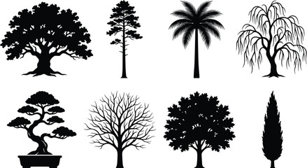 Tree silhouettes set featuring oak, pine, palm tree, weeping willow, bonsai, bare branches, maple, and cypress isolated vector collection © Mehedi