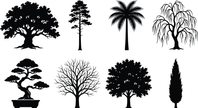 Tree silhouettes set featuring oak, pine, palm tree, weeping willow, bonsai, bare branches, maple, and cypress isolated vector collection