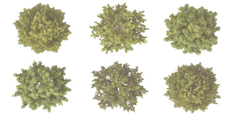 Top view of green tree collection for landscape architecture design plan and architectural site plan rendering © ZenVectors