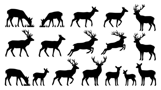 Wild deer silhouette set featuring forest stag buck doe and fawn in various jumping running grazing and hunting poses