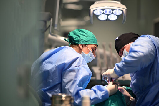 Dental Surgery Team Performing Oral Procedure in Modern Dental Clinic With Surgical Masks