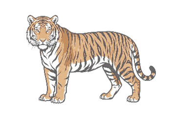 Fototapeta premium Black and white tiger standing sideways vector illustration