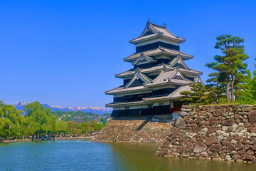 Naklejka premium 北アルプスと松本城（長野県・松本市）