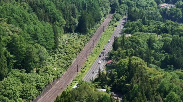 Lush green trees line a railway track and road. Few cars travel slowly along the adjacent highway. Birds soar above the dense forest canopy. Nature thrives beside engineered pathways