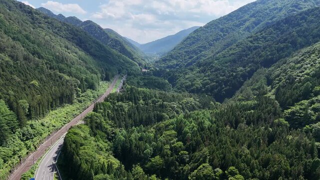Lush green valley stretches beneath clear blue sky. Winding road cuts through dense forested hills. Rail tracks parallel the highway, disappearing into distance. Vast canopy whispers with wind, alive
