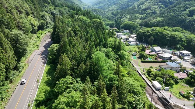 Green forest hills surround winding road. Vehicles travel along paved path through trees. Small village nestled among tall pines. Aerial view shows nature's serene beauty