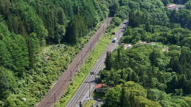 Lush green forest surrounds railway tracks and road. Aerial view shows nature's quiet embrace over transport routes. Trains and cars move slowly, unbothered by surrounding foliage