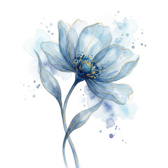 Obraz premium Beautiful Blue Flower On Transparent Background With Gold Accents And Watercolor Effect