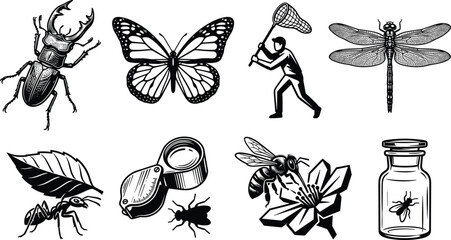 Entomology silhouettes with beetle, butterfly, dragonfly, ant, bee, insect collector, magnifying glass, specimen jar icons © Creative Crave