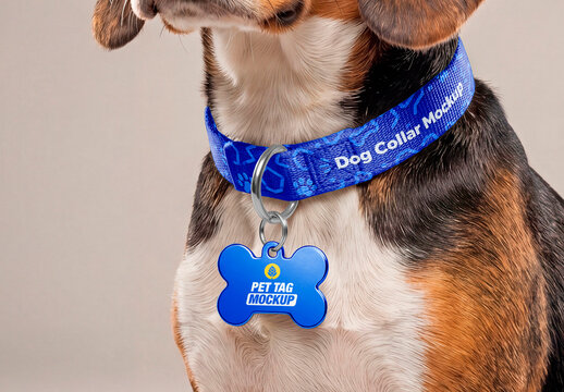 Dog Collar Tag Mockup on Beagle