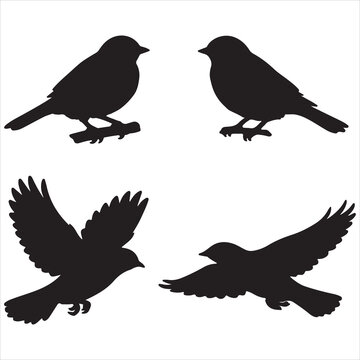 Four silhouettes of birds in perched and flying postures