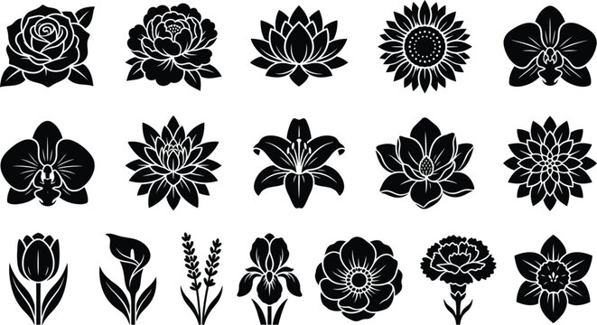 Black and white floral set, isolated of various flowers and plants floral flowers botanical isolated