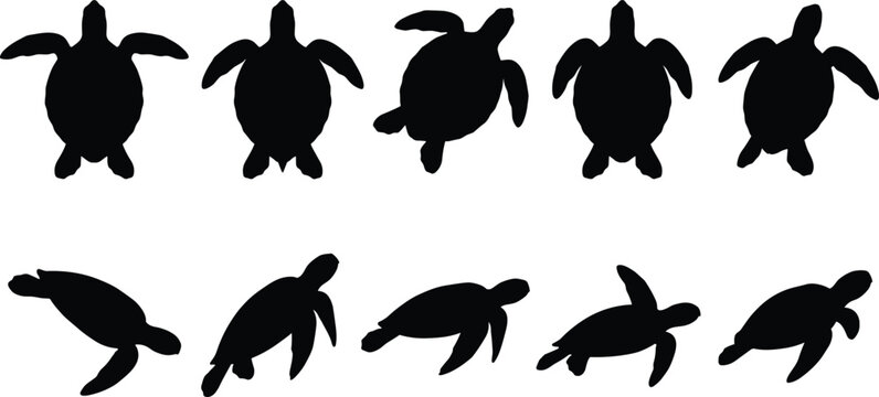 Sea turtle silhouette vector collection set featuring loggerhead leatherback green turtles swimming in top and side view angles
