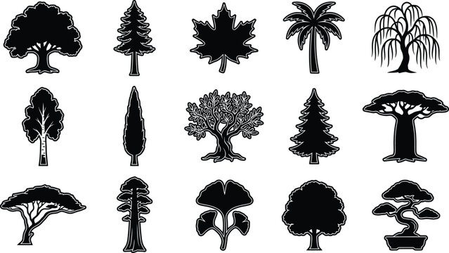 Black and white of various types of trees and plants tree plant black and white tree silhouette pine tree
