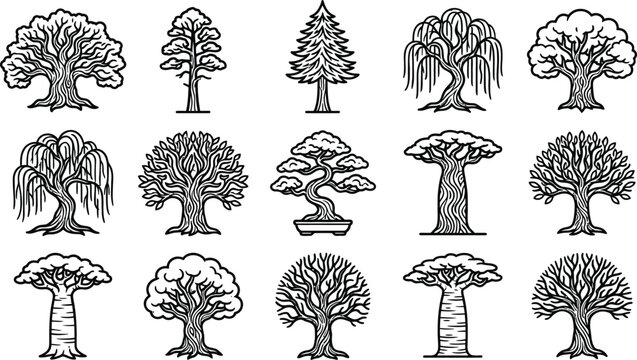 Black and white line of various types of trees and plants leaf pine willow
