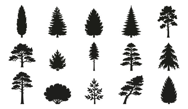 Coniferous tree silhouettes set, 15 black pine and spruce vector icons, evergreen forest plant collection for landscape design and outdoors maps