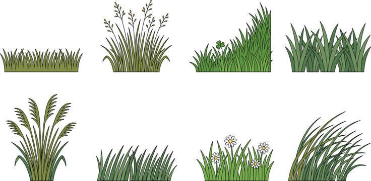 Green grass tufts and meadow plant borders vector set featuring botanical tufts field turf weeds and daisy flowers