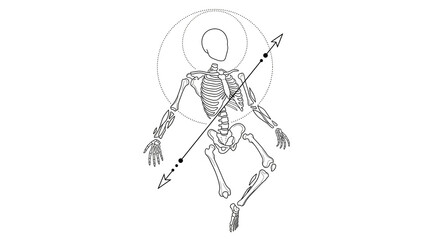Obraz premium Human Skeleton Line Art with Geometric Circles and Arrow