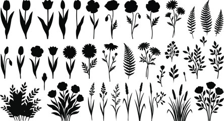 Vector silhouettes of flowers and plants with  decorative floral patterns © ANASAL