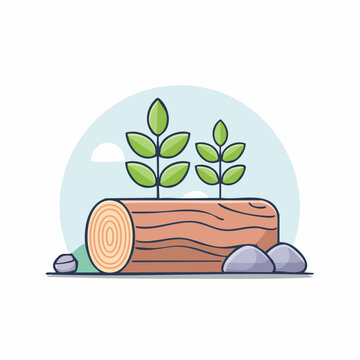 Sprout growing from a log