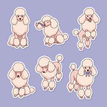 Cute poodle dog sticker pack with various poses and expressions