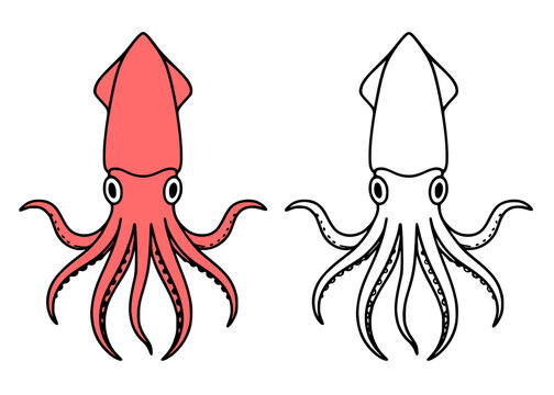 Squid icon illustration, line art and colored, for coloring page