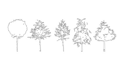Stylized coniferous and deciduous tree outline silhouettes set for landscape architecture. © Sara Studio