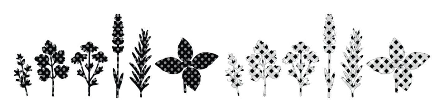 Botanical Line Art Collection, Delicate Herbal Sprigs and Floral Elements, Minimalist Vector Icons for Nature Designs