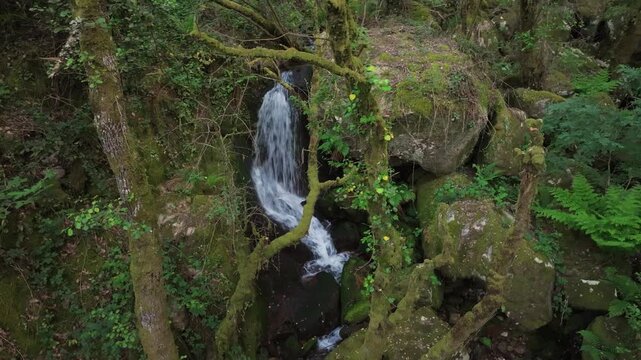 Mossy Covered Forest With Santo Estevo do Ermo Waterfall In Barreiros, Galicia, Spain. Close-up Shot