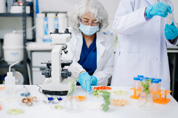 Fototapeta premium Experienced scientist analyzing food samples under a microscope in a modern laboratory, supporting food safety, quality control, biotechnology, and scientific research.