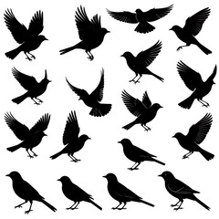 Obraz premium A collection of fifteen black silhouettes of birds in various poses