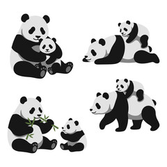 Naklejka premium Giant panda mother and baby collection featuring cuddling, feeding bamboo, resting and family bonding wildlife moments Flat vector illustration