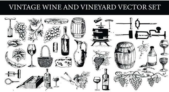 Vintage wine and vineyard vector set. Retro hand drawn engraving style wine bottles, grapes, barrels, and winery landscape elements 