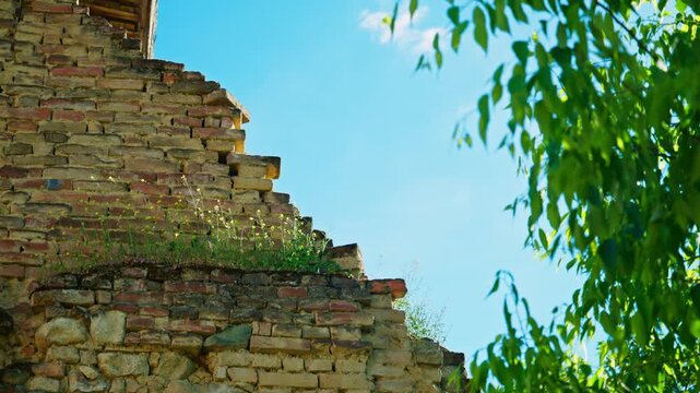 An overgrown ancient brick ruin and weathered wall partially covered with greenery, framed by tree leaves against a bright blue sky. 4K.