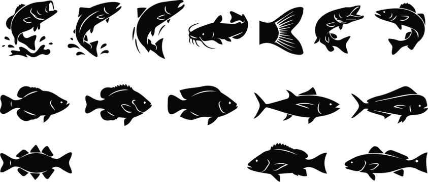 Freshwater and Saltwater Fish Species Icons Set with Black Silhouette Signs on White Background