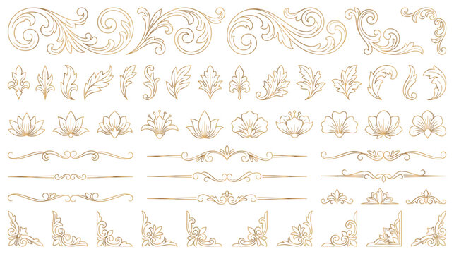 Set of gold ornamental design elements, floral branches, scrolls.