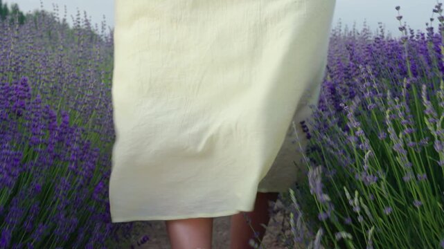 Lavender field yellow dress straw hat woman back view travel row summer countryside nature scene, arms extended, joyful and serene, walking path toward distant mountain and sky