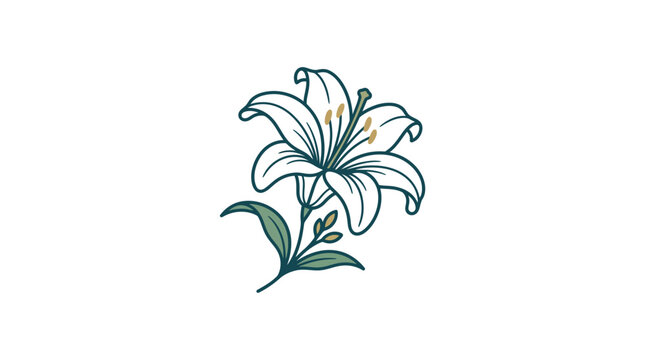Elegant White Lily Flower Illustration with Green Leaves on White Background