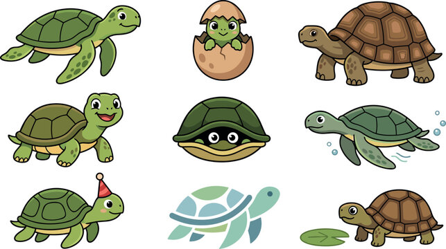 Cute Turtle Vector Character Set Featuring Sea Turtles Tortoises Hatchling and Party Elements for Kids Illustrations Stickers and Educational Materials