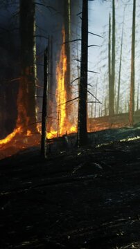 A forest fire burns brightly among the trees. Smoke fills the air as flames rise. The environment shows signs of destruction and danger. Nearby trees remain untouched.