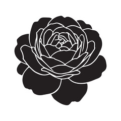 Obraz premium Black Floral Rose Artwork for Designers
