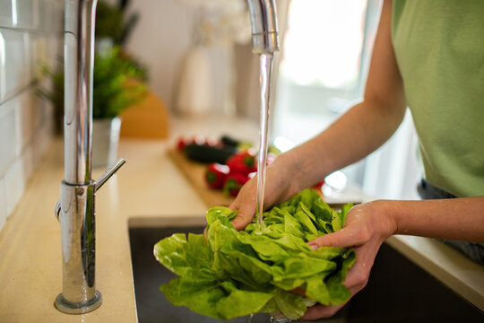 Person washing fresh lettuce under kitchen faucet